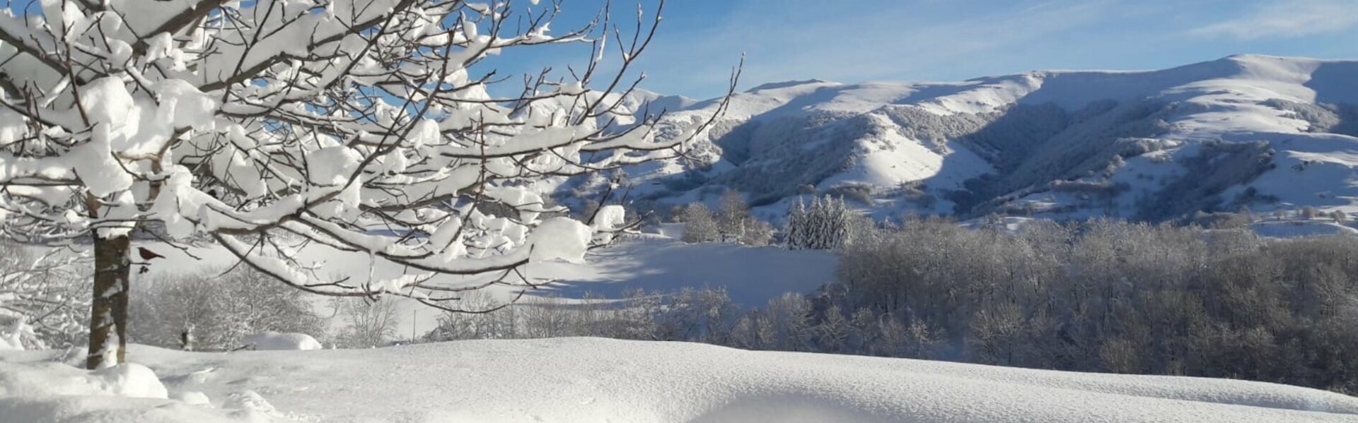 Témoignages Hébergement Le Clou (15)